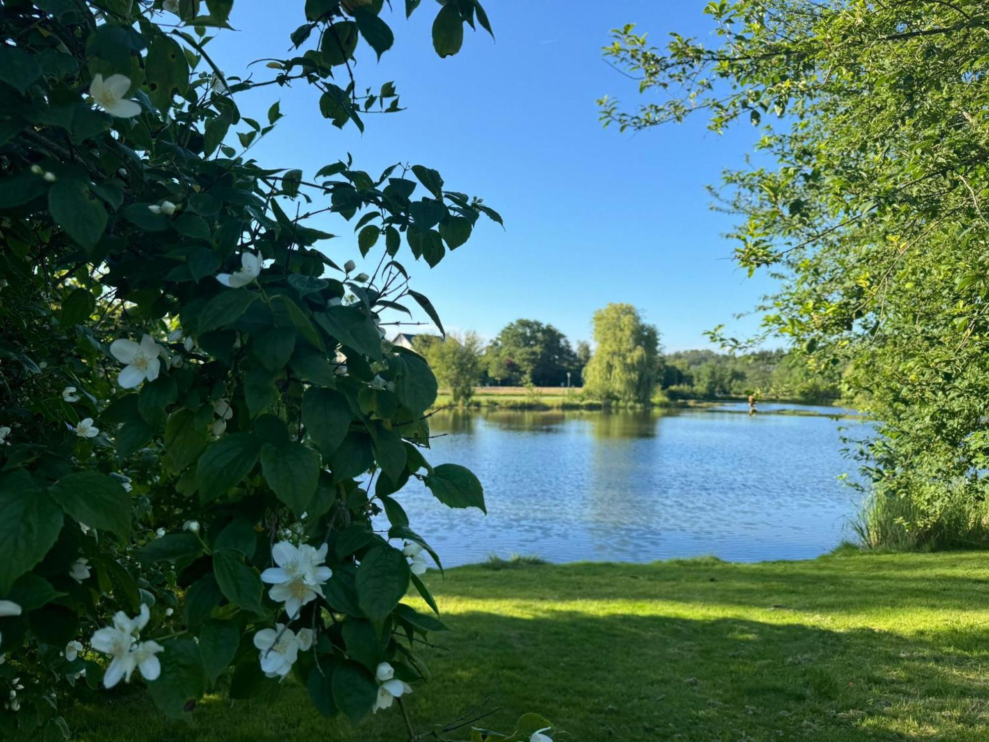Schloss Hotel Kastellaun Extérieur photo